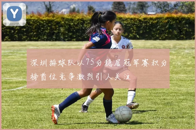 深圳排球队以75分稳居冠军赛积分榜首位竞争激烈引人关注
