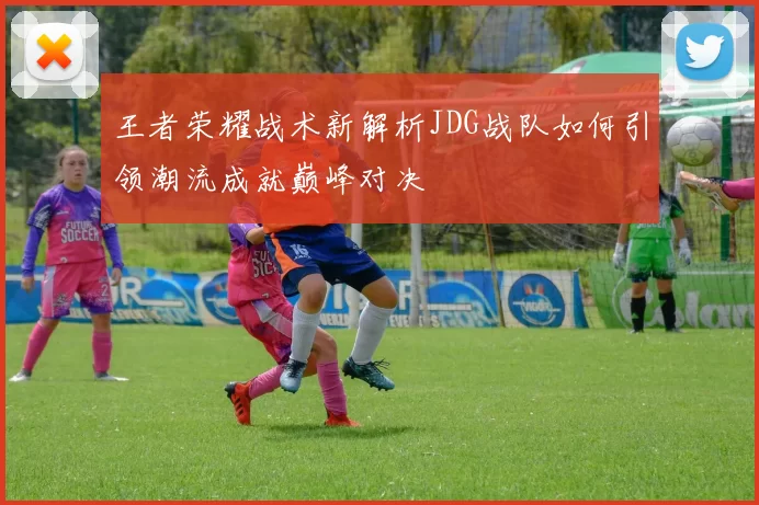 王者荣耀战术新解析JDG战队如何引领潮流成就巅峰对决