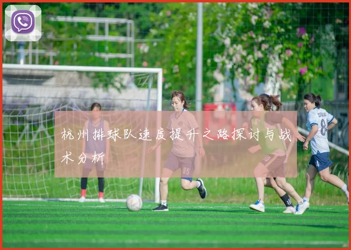 杭州排球队速度提升之路探讨与战术分析