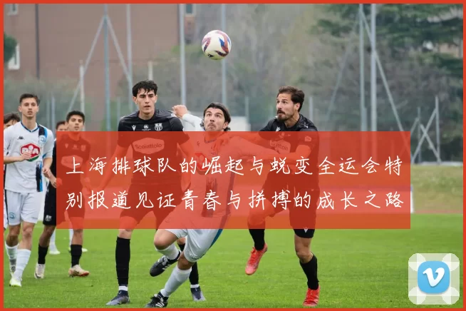 上海排球队的崛起与蜕变全运会特别报道见证青春与拼搏的成长之路