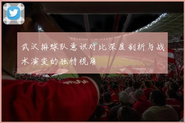 武汉排球队意识对比深度剖析与战术演变的独特视角