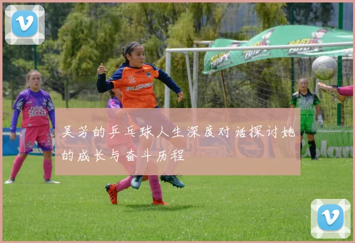 吴芳的乒乓球人生深度对话探讨她的成长与奋斗历程