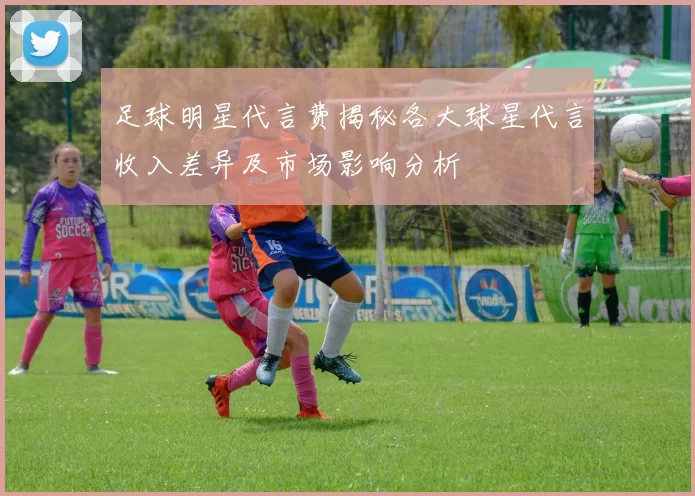 足球明星代言费揭秘各大球星代言收入差异及市场影响分析