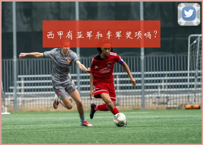 西甲有亚军和季军奖项吗？