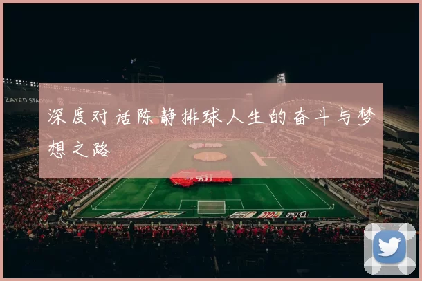 深度对话陈静排球人生的奋斗与梦想之路