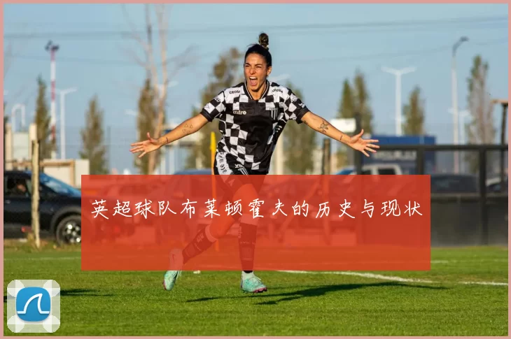 英超球队布莱顿霍夫的历史与现状