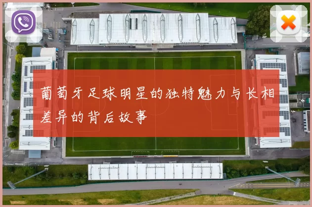 葡萄牙足球明星的独特魅力与长相差异的背后故事
