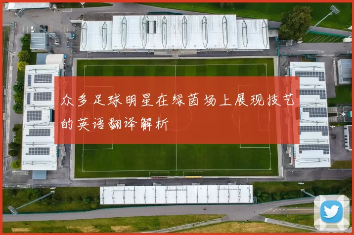 众多足球明星在绿茵场上展现技艺的英语翻译解析