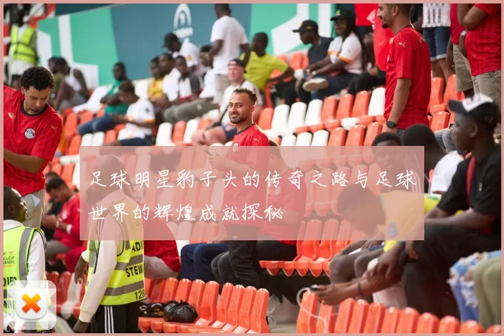 足球明星豹子头的传奇之路与足球世界的辉煌成就探秘