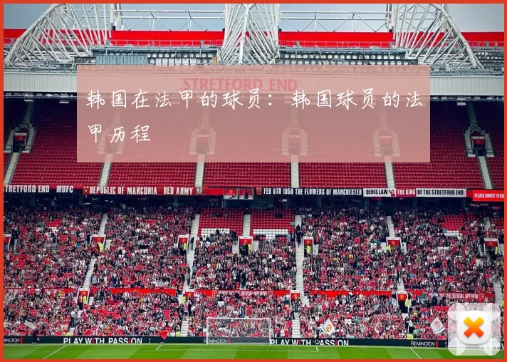 韩国在法甲的球员：韩国球员的法甲历程
