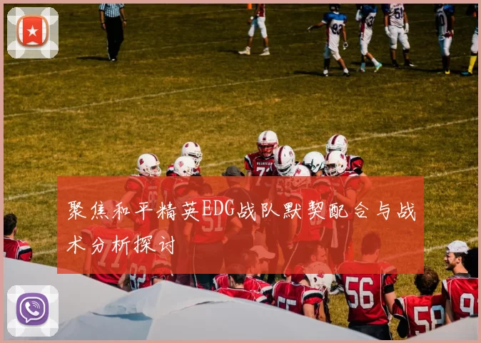 聚焦和平精英EDG战队默契配合与战术分析探讨