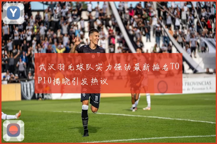 武汉羽毛球队实力强劲最新排名TOP10揭晓引发热议