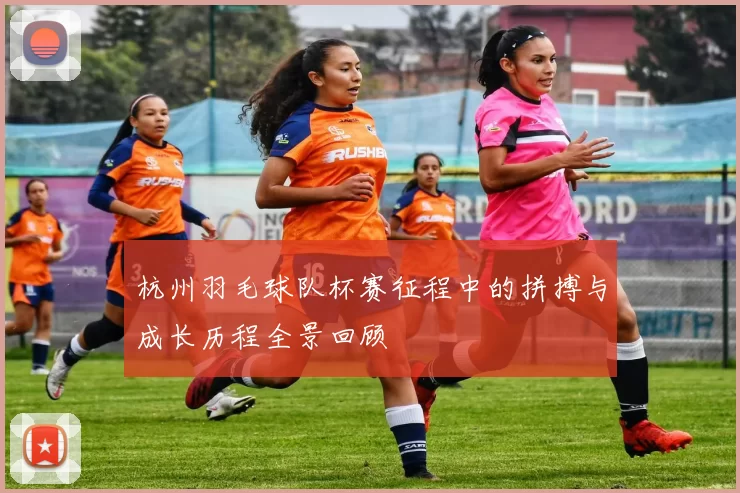 杭州羽毛球队杯赛征程中的拼搏与成长历程全景回顾