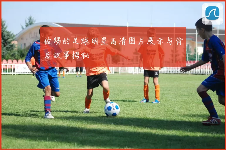 被踢的足球明星高清图片展示与背后故事揭秘