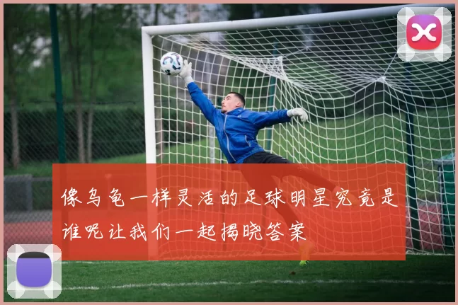 像乌龟一样灵活的足球明星究竟是谁呢让我们一起揭晓答案