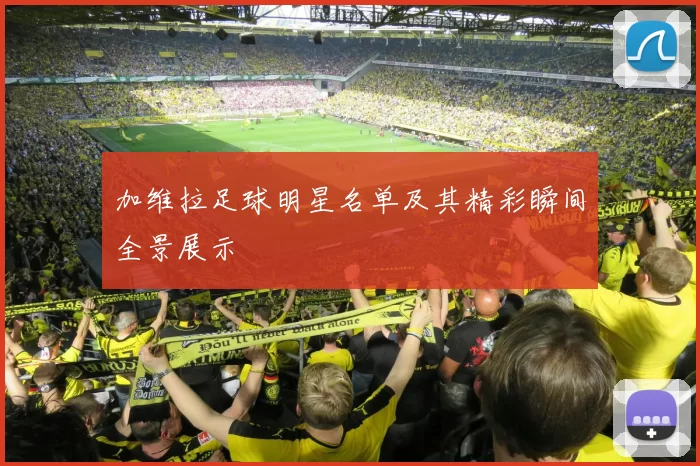 加维拉足球明星名单及其精彩瞬间全景展示