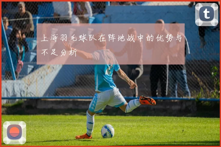 上海羽毛球队在阵地战中的优势与不足分析