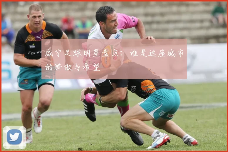 咸宁足球明星盘点：谁是这座城市的骄傲与希望