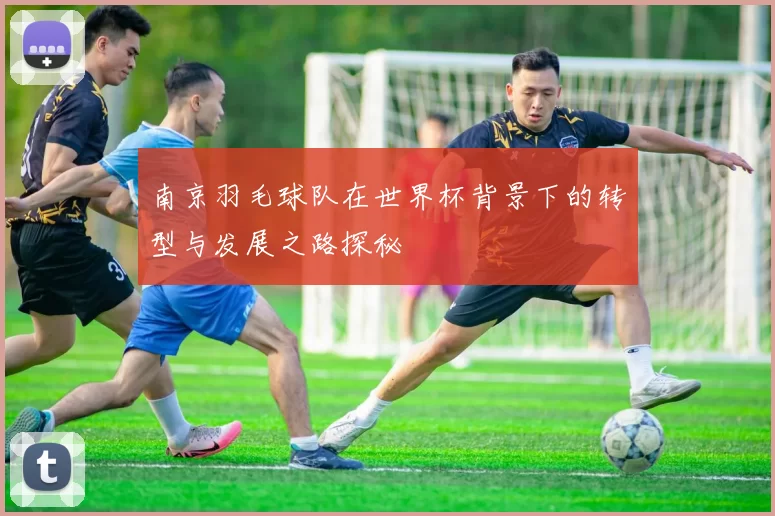 南京羽毛球队在世界杯背景下的转型与发展之路探秘