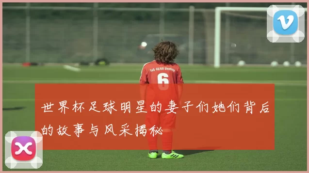 世界杯足球明星的妻子们她们背后的故事与风采揭秘